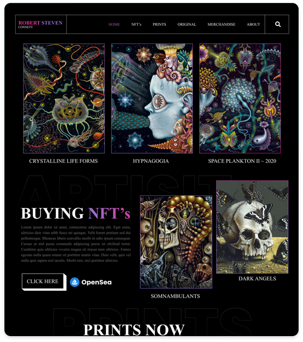 portfolio