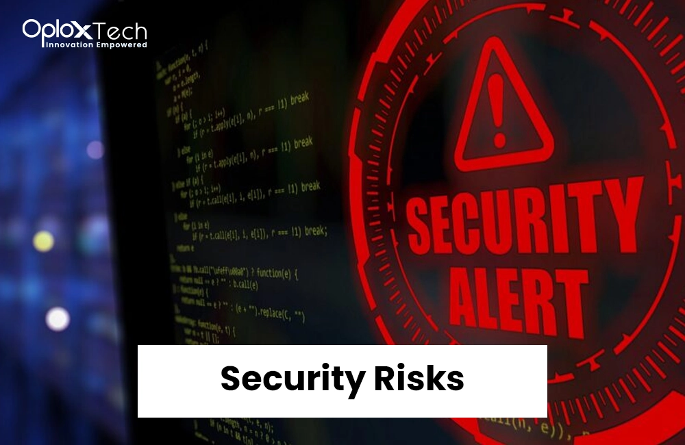 Security Risks​